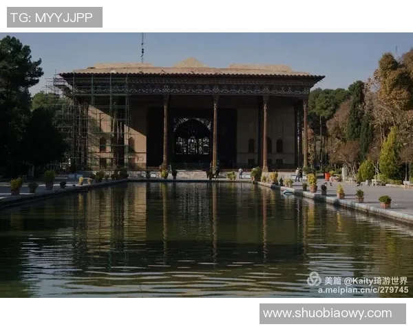 杭州飞盘队灵活性分析与表现评估探索之旅 杭州飞盘队灵活性分析与表现评估探索之旅