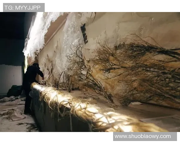 加莱诺的艺术世界探索与创作背后的灵感与故事