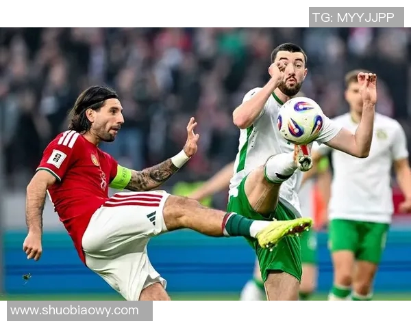 北爱尔兰与匈牙利足球对决全面分析及战术解析