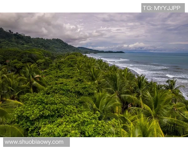 哥斯达黎加双色木蝎的独特魅力与生态价值探讨