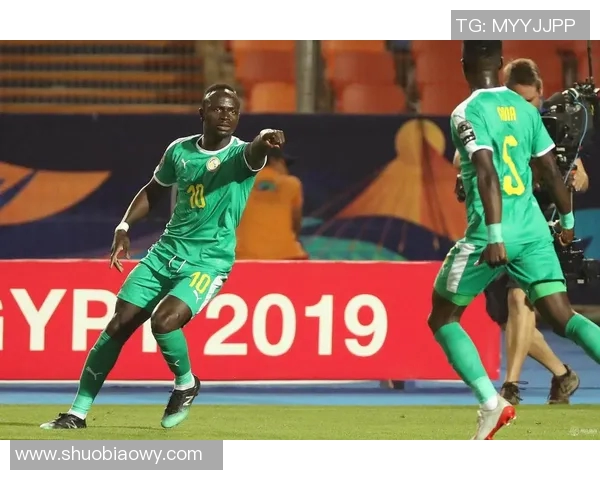 尼日利亚与喀麦隆对决前瞻分析双方阵容战术及历史交锋记录