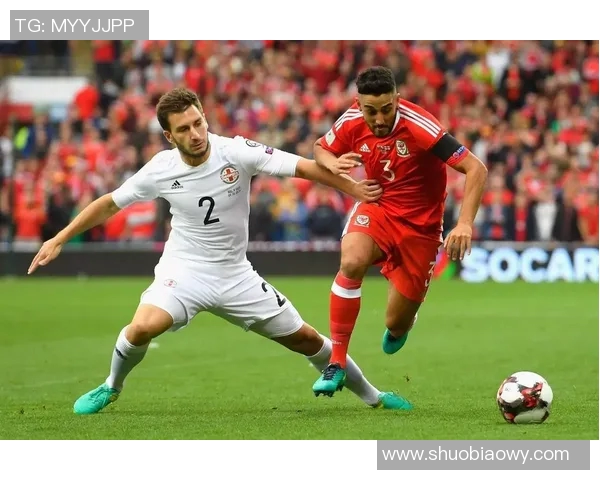 格鲁吉亚与马尔他足球对决分析及比赛前瞻展望