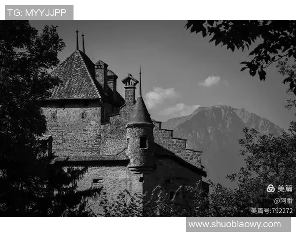 洛桑与沙夫豪森激战在即谁能在这场较量中笑到最后