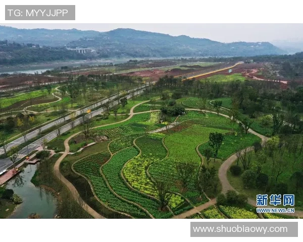 重庆攀岩队的转型之路与攀岩运动的未来发展探讨