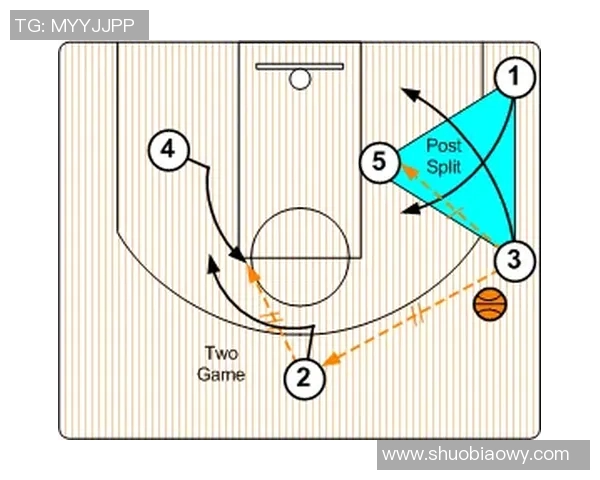 重庆篮球队战术解析与未来发展方向的深度探讨