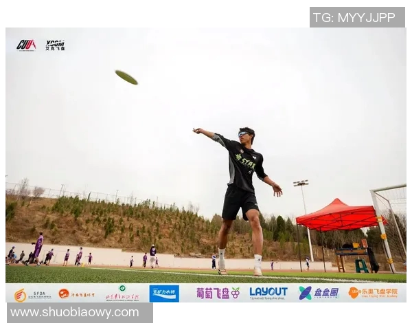 飞盘力量排行榜：杭州飞盘队位居第4名